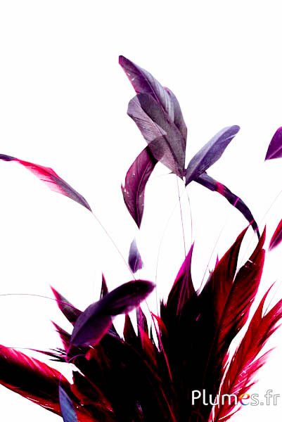 Haan zweep Body Split - 23-28 cm - zwart-pink